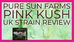 Pure Sun Farms Pink Kush Review