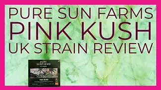 Pure Sun Farms Pink Kush Review