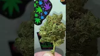 medical cannabis, Animal face Cookies.