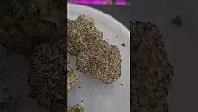 Eazypax420 Video Thumbnail