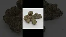 HighStandards420 Video Thumbnail