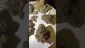 Video Thumbnail: Medi Blaze