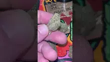 St0nerLukas Video Thumbnail