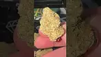 Green Karat - Pave S1 | Non Irradiated - First Look 
