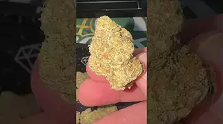 Green Karat - Pave S1 | Non Irradiated - First Look