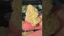Smokie McGreen Video Thumbnail