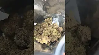 Mochi Gelato by CannFx