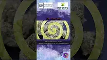 Smokey Mo Video Thumbnail