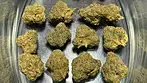 Aurora T25 Frozen Lemon Haze REVIEW