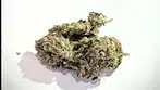 Mamedica/ chem cookies #44 / review / UK MEDICAL CANNABIS 