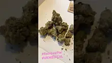 Bob The Bud Stud Video Thumbnail
