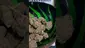 Video Thumbnail: Herb Gaming