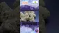 Video Thumbnail: Smokey Mo