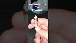 Pink Diesel  by Aurora (this is how it smokes)