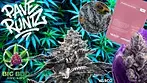 Pave Runtz by Vasco Cipher T28 - Medical Cannabis Review