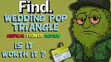 CheeseMon4 Video Thumbnail