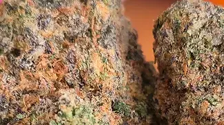 Four20 - Pineapple Fruz - T30 2nd batch review - (Animal Mints Bx1 x Zkittlez Bx1) PURE GAS VAPOR!!!