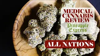 Pineapple Express | All Nations | UK Medical Cannabis Review UK