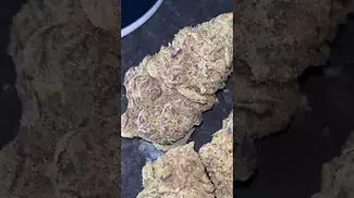 Broken Coast Cherry Cheesecake