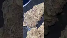 Review Captain  Video Thumbnail