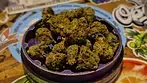4C Labs Premium CHZ T23 Chemnesia Haze Medical Cannabis Flower Sativa Hybrid 23% THC 1% CBD review