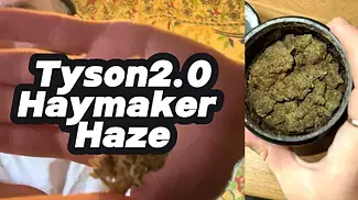 Tyson 2.0 Haymaker Haze - Honest Review (dont buy this shit)