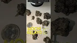 Mochi Gelato T28 by Upstate IPS UK MEDICAL BN260421068 XD20JUL26