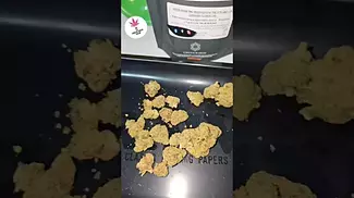 Green Karat Modified Gas  £8.50 a G  Top 3 Favourite