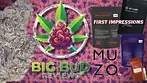 First Impressions - Opening Mango Rosin Vape,  D.Bubba, Sudz, Cap Junky, Rainbow Pave & Gelato 33 