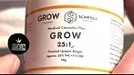 GROW FROSTED LEMON ANGEL T25 UK Legal Medical Cannabis