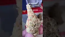 Charlie Chongs Video Thumbnail