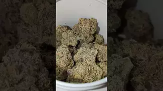 GROW GARY PAYTON (UK PRESCRIPTION MEDICATION)