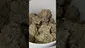 Video Thumbnail: PrescribedBouquet