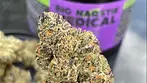 Big Narstie Medical Purple Milk medical cannabis review