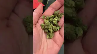 4CLabs Oaxacan Kush Review #medicalcannabis #ukmedicalcannabis