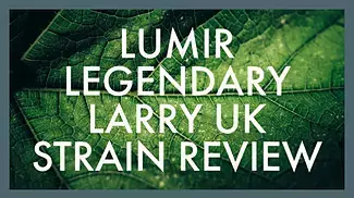 Lumir Legendary Larry UK Medical Cannabis Strain Review