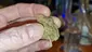 Video Thumbnail: Smacksalad