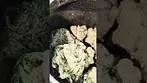 UPSTATE WEDDING PIE (UK PRESCRIPTION MEDICATION)