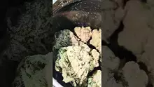 PrescribedBouquet Video Thumbnail