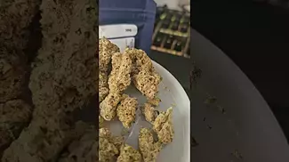 Medicus Fruity Pebble Kush First Impressions UK Medical Flower