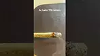 4c Labs T18 Jokerz burn