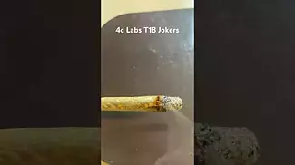 4c Labs T18 Jokerz burn
