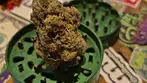 4C Labs Craft Select GBU T30 Gary Busey Medical Cannabis Flower