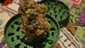 Video Thumbnail: Keep Blazing Stay Amazing