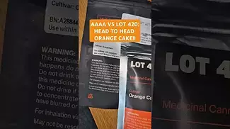 VS Orange Cake