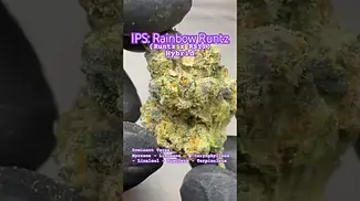 IPS: Rainbow Runtz (A closer look & Terp breakdown)