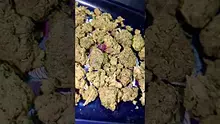 PrescribedBouquet Video Thumbnail