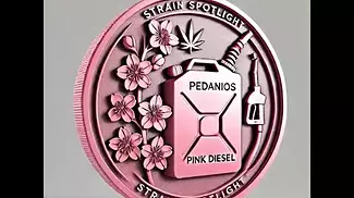 Strain Spotlight: Aurora/Pedanios Pink Diesel (31% THC) – Effects, Terpenes & Medical Benefits! 