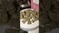 Video Thumbnail: Medi Blaze