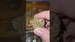 Georgia pie by Craft Botanics